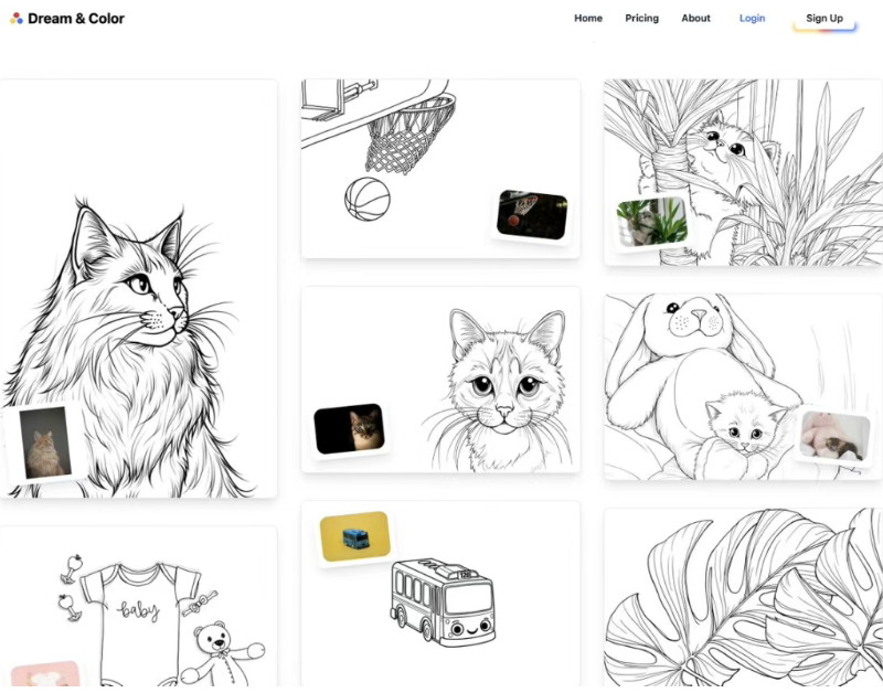 5个海外冷门小众副业可以搬国内? 5个海外冷门小众副业可以搬国内?