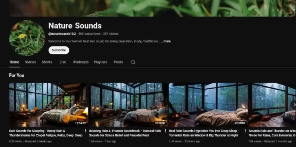 新手做YouTube自动化，这9个领域千万别碰（思想未测试）