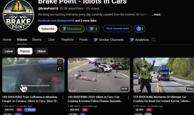 25个无需露脸的YouTube赚钱小众领域，附多个对标频道(思想、未测试）