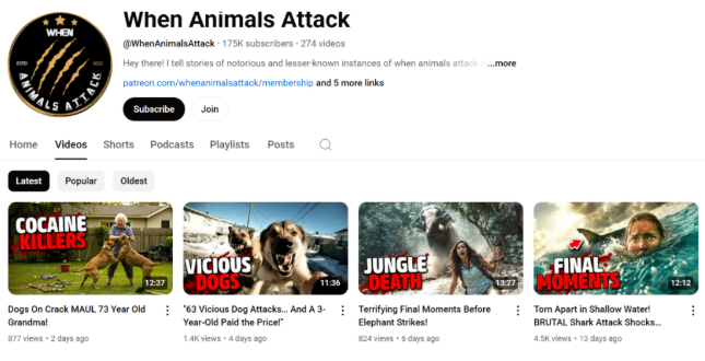 25个无需露脸的YouTube赚钱小众领域，附多个对标频道(思想、未测试）