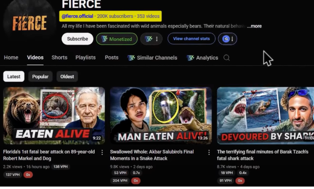25个无需露脸的YouTube赚钱小众领域，附多个对标频道(思想、未测试）