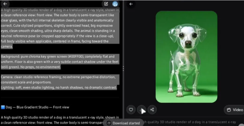 未测试-动物骨架科普视频，免费AI工具（可实操）